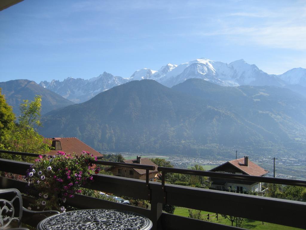 Mont Blanc Views Apartments Passy  Room photo